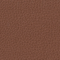 Nutmeg