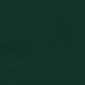 pes-028-forest
