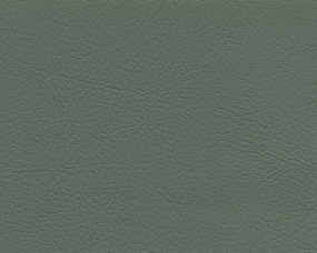 Seagrass