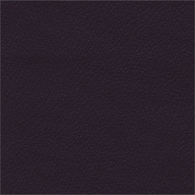 Aubergine