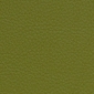 Granny Smith
