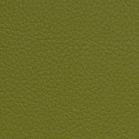 Granny Smith