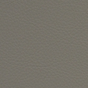 Horizon