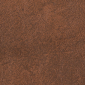 Cinnamon