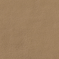 Buckskin
