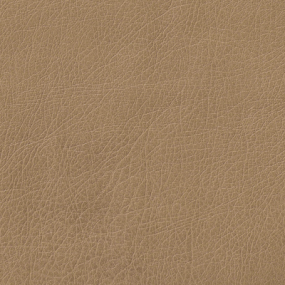 Buckskin