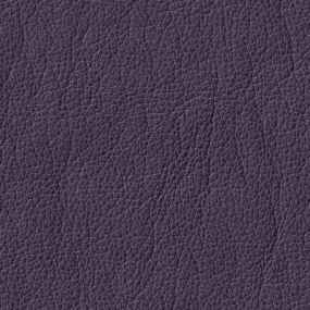 Eggplant