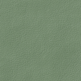 Lily Pad