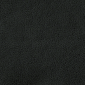 Coal