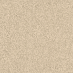 Parchment