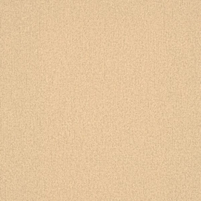 pod-017-odyssey-parchment