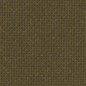 Green Olive