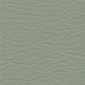 Silver Leaf