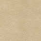 Chamois