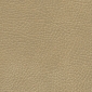 Buckskin
