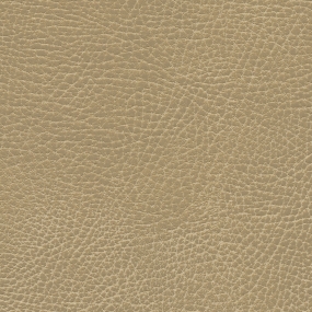 Buckskin