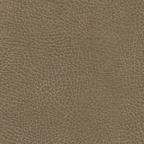 Saddle