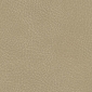 Desert Tan