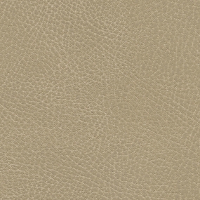 Desert Tan