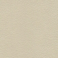 Navajo Ivory