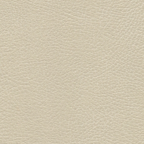 Navajo Ivory