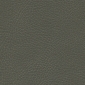 Pelt