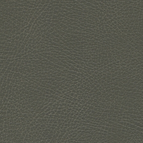 Pelt