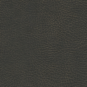 Steerhide