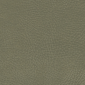 Prairie