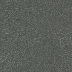 Iron