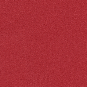 Rose Red