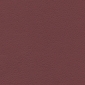 Beet Root