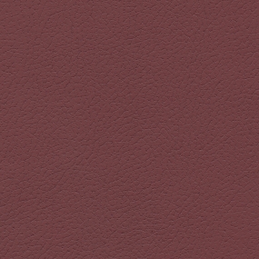 Beet Root