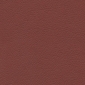 Salsa