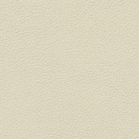 Birch