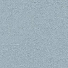 Iceberg
