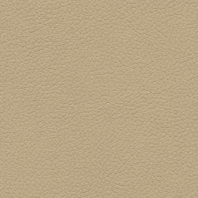 Desert Clay