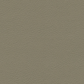 Putty