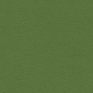 Apple Green