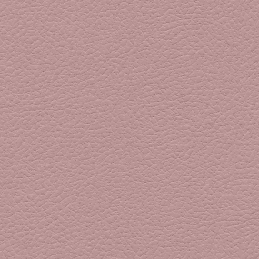 Ice Pink