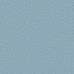 Bristle Blue