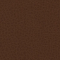 Tiger Eye