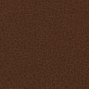 Tiger Eye