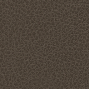 Caribou