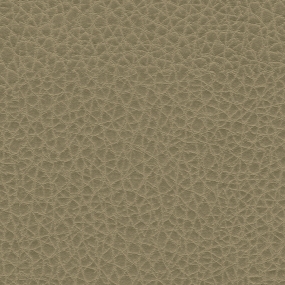 Light Moss