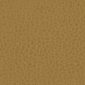 Golden Ochre