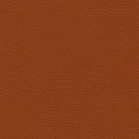 Firebrick