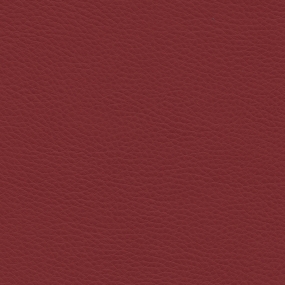 Poinsettia Red