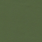 Jalapeno