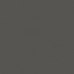 Smoke Gray